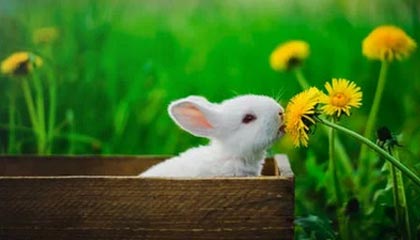 天天盈球-斯佳辉2-6不敌威尔逊 止步斯诺克大师赛首轮